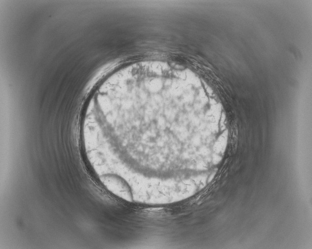 X0000115030054200912071057