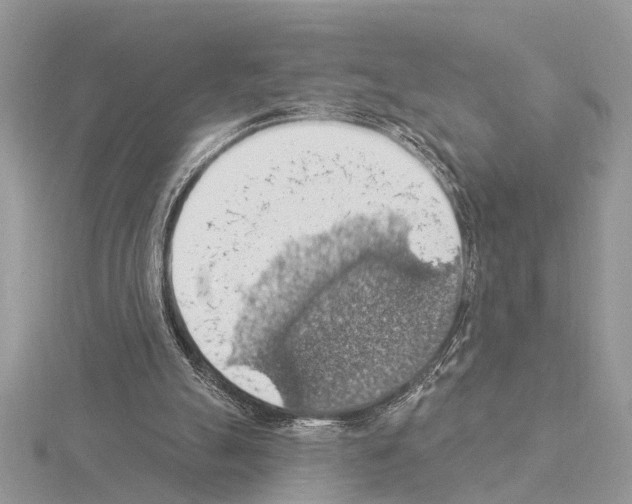 X0000115030055200912071057