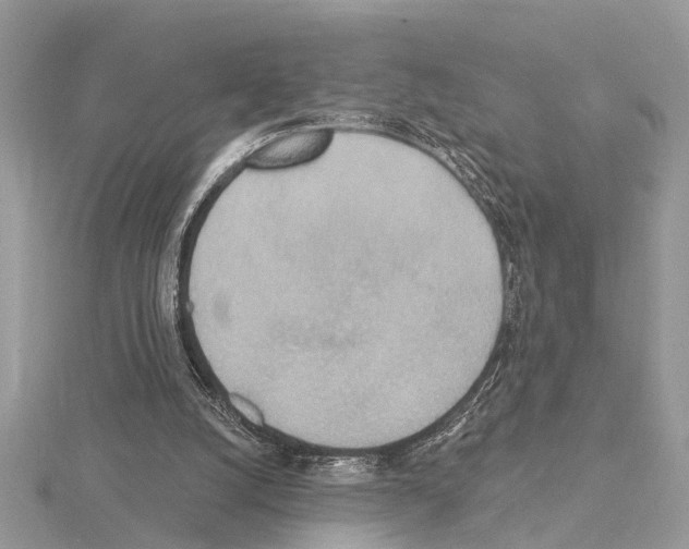 X0000115030056200912071057