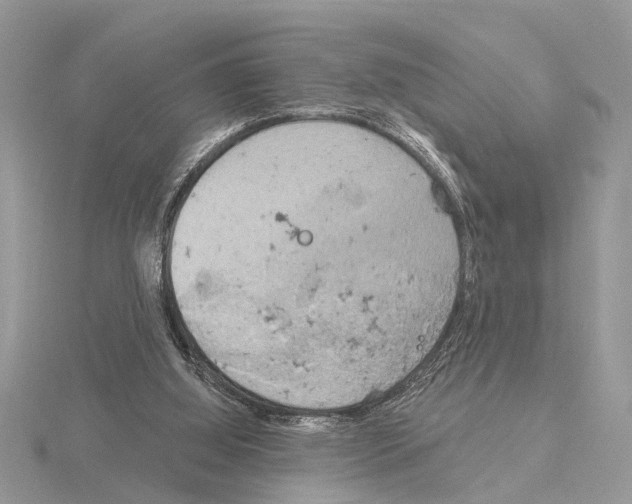 X0000115030060200912071057