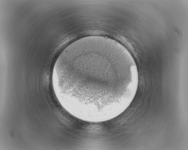 X0000115030063200912071057