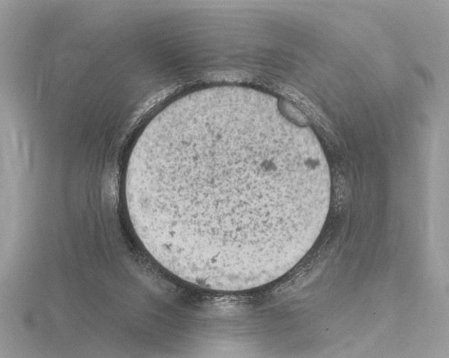 X0000115030064200912071057