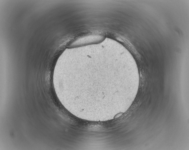 X0000115030066200912071057