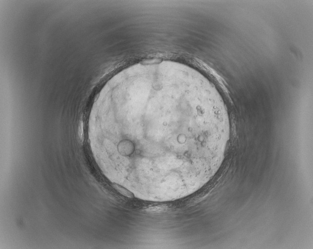 X0000115030067200912071057