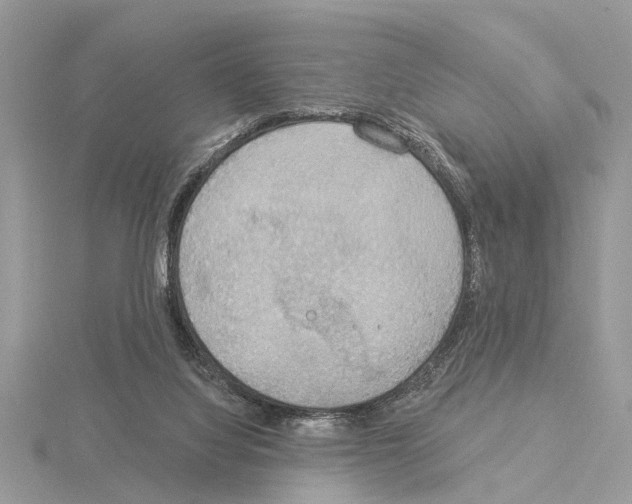 X0000115030068200912071057