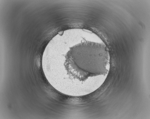 X0000115030069200912071057