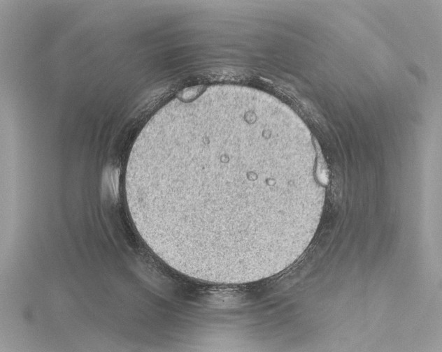 X0000115030070200912071057