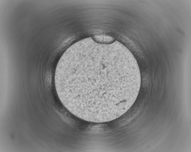 X0000115030072200912071057