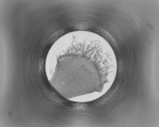 X0000115030073200912071057