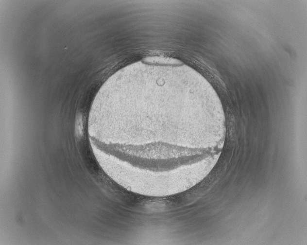 X0000115030075200912071057