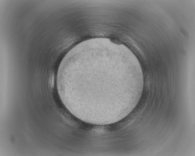 X0000115030076200912071057