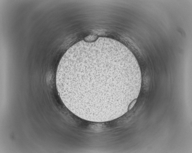 X0000115030079200912071057