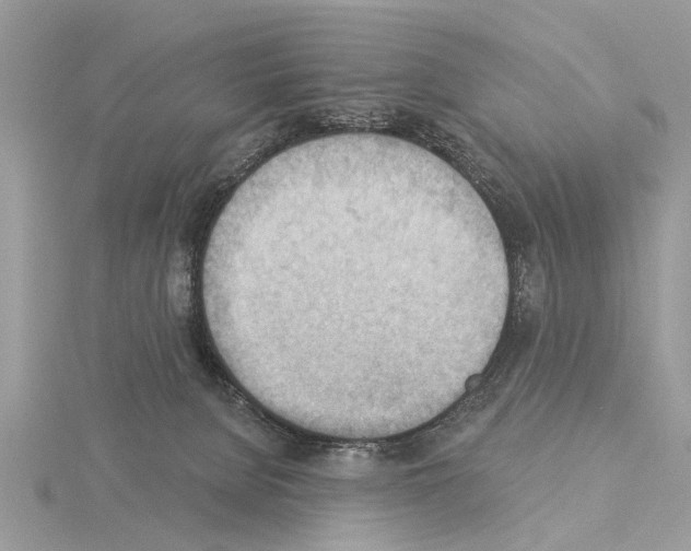 X0000115030080200912071057