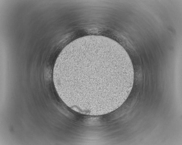 X0000115030081200912071057