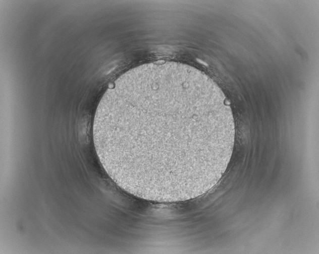 X0000115030082200912071057