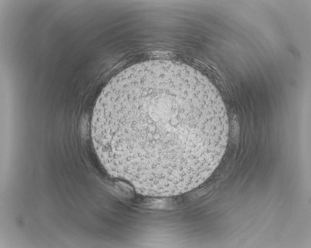 X0000115030083200912071057