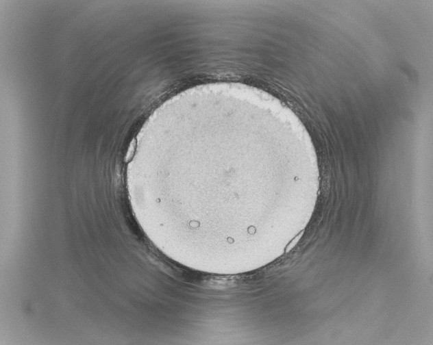 X0000115030084200912071057