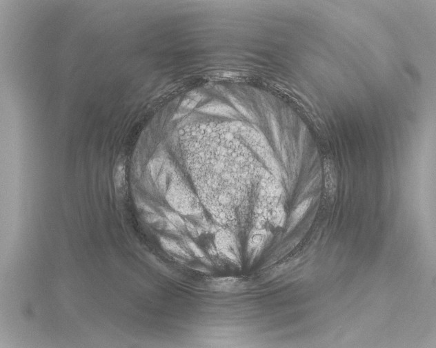 X0000115030087200912071057