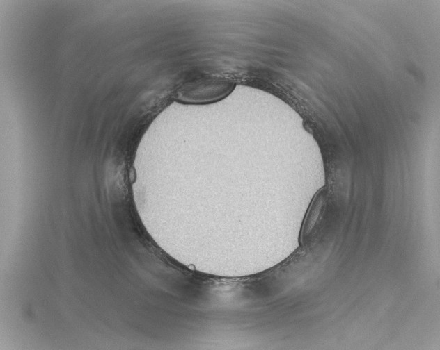 X0000115030088200912071057