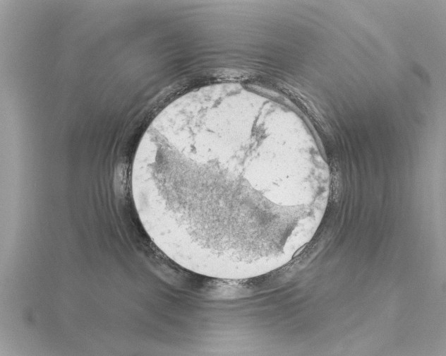 X0000115030093200912071057