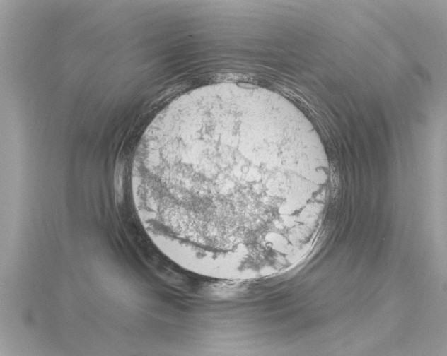 X0000115030094200912071057