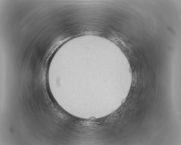 X0000115030098200912071057