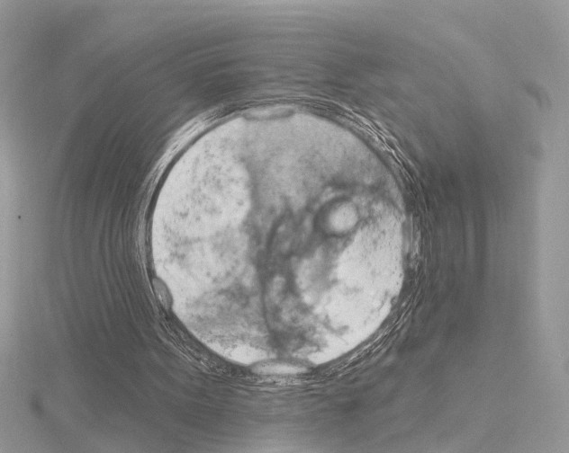 X0000115030099200912071057