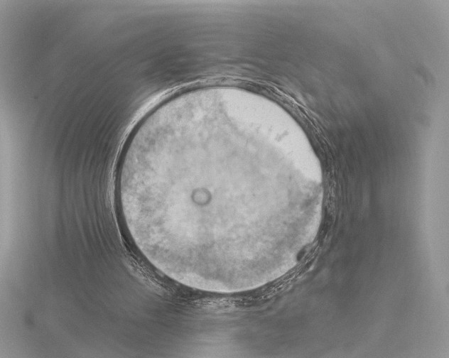 X0000115030100200912071057