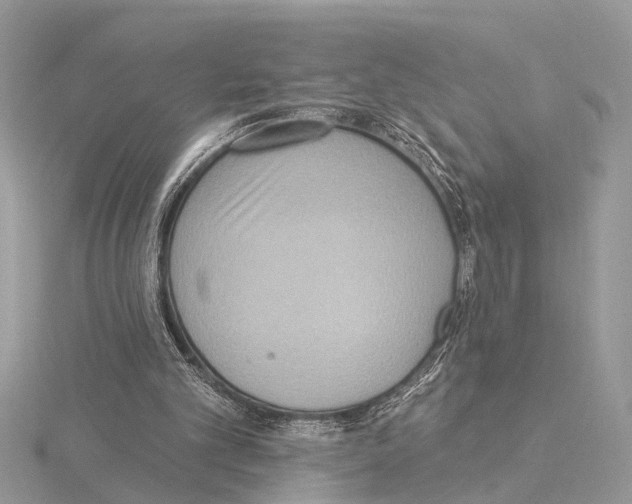 X0000115030101200912071057