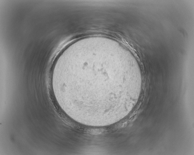 X0000115030103200912071057