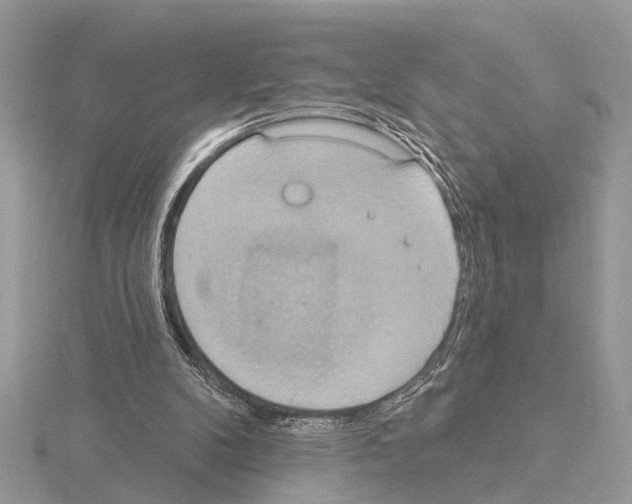 X0000115030104200912071057