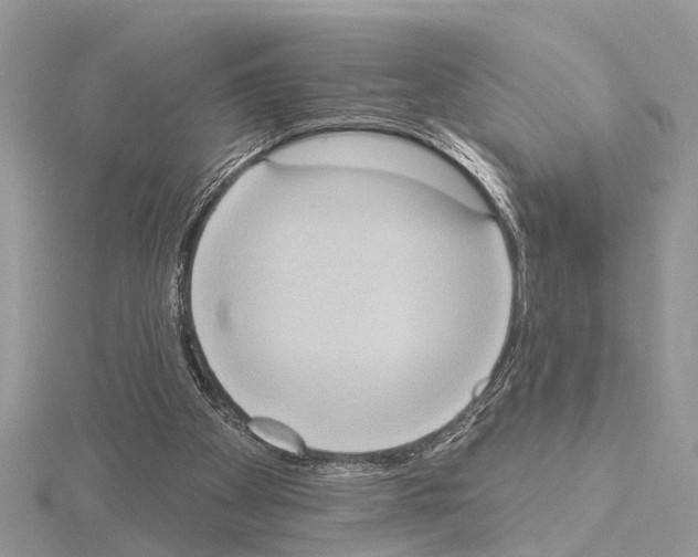 X0000115030105200912071057