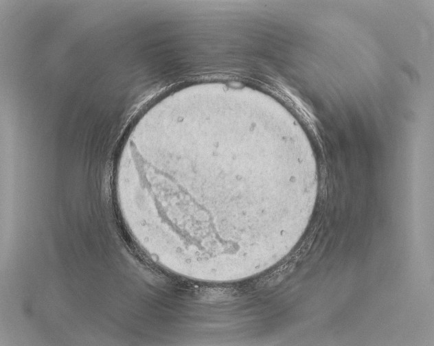 X0000115030107200912071057