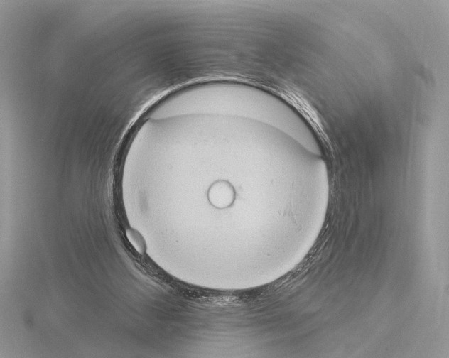 X0000115030108200912071057