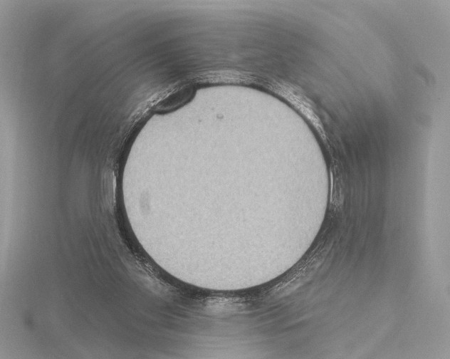 X0000115030109200912071057