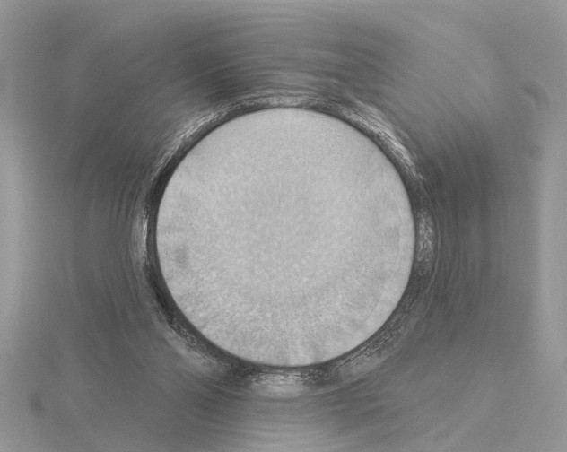 X0000115030110200912071057