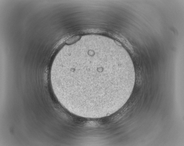 X0000115030111200912071057