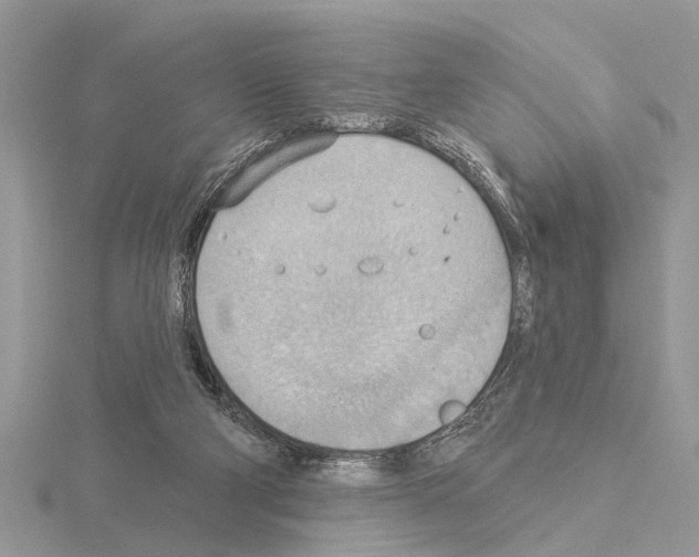 X0000115030114200912071057