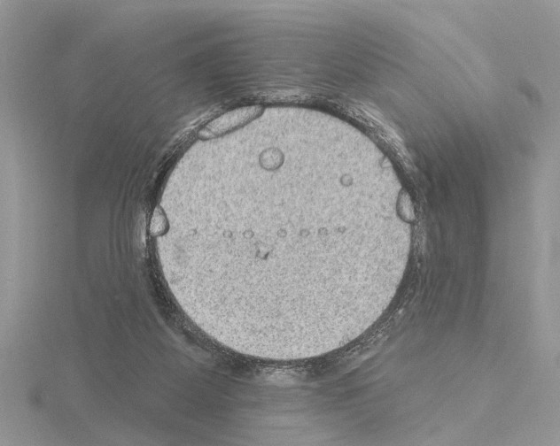 X0000115030115200912071056