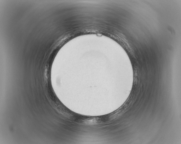 X0000115030116200912071056