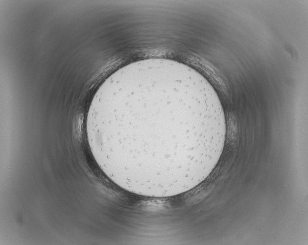 X0000115030118200912071056