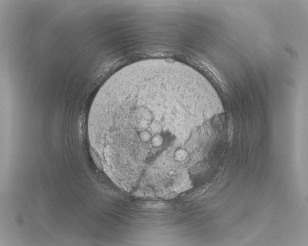 X0000115030119200912071056