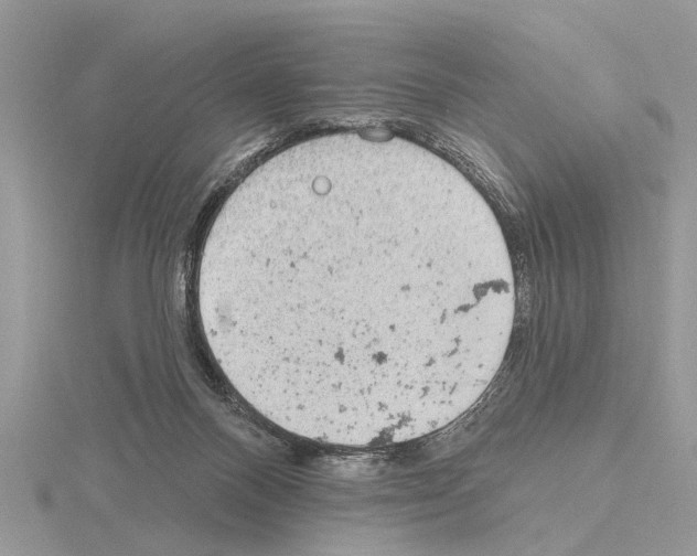 X0000115030120200912071056