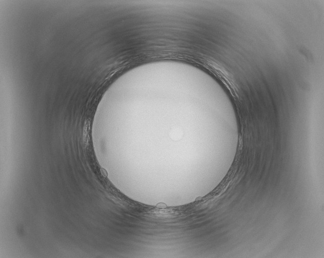 X0000115030121200912071056