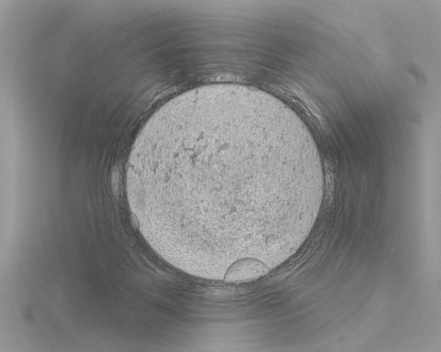 X0000115030123200912071056