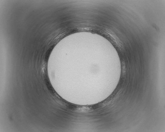 X0000115030125200912071056