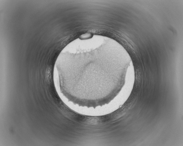 X0000115030127200912071056