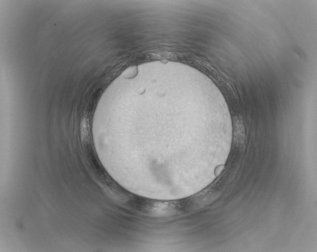 X0000115030130200912071056