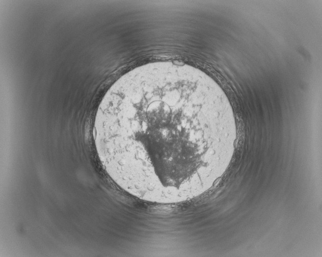 X0000115030131200912071056