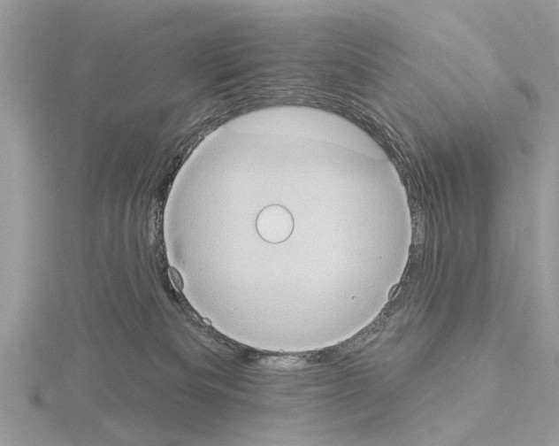 X0000115030133200912071056